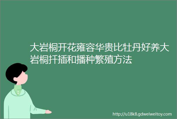 大岩桐开花雍容华贵比牡丹好养大岩桐扦插和播种繁殖方法