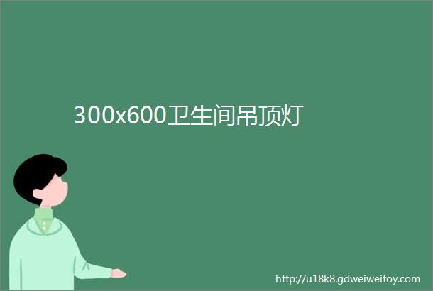 300x600卫生间吊顶灯