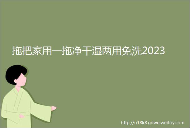 拖把家用一拖净干湿两用免洗2023