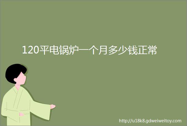 120平电锅炉一个月多少钱正常